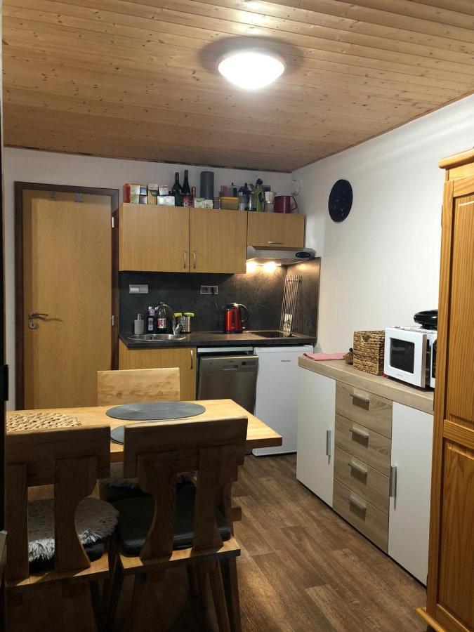Apartman S Vyhledem Na Jezerni Stenu Železná Ruda Eksteriør bilde