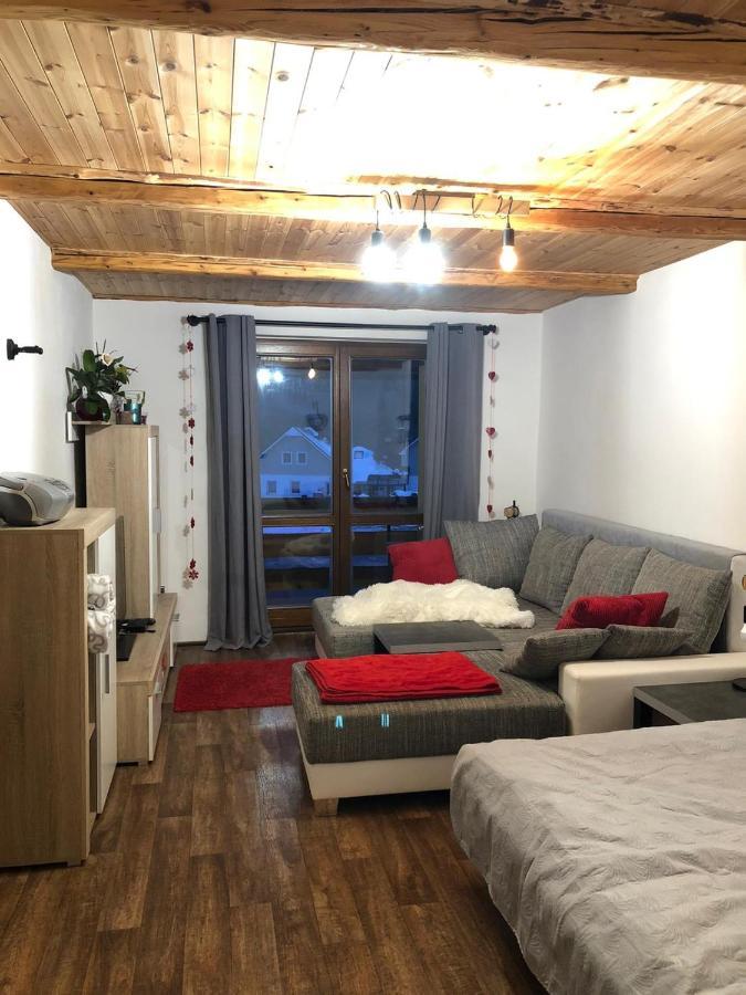 Apartman S Vyhledem Na Jezerni Stenu Železná Ruda Eksteriør bilde