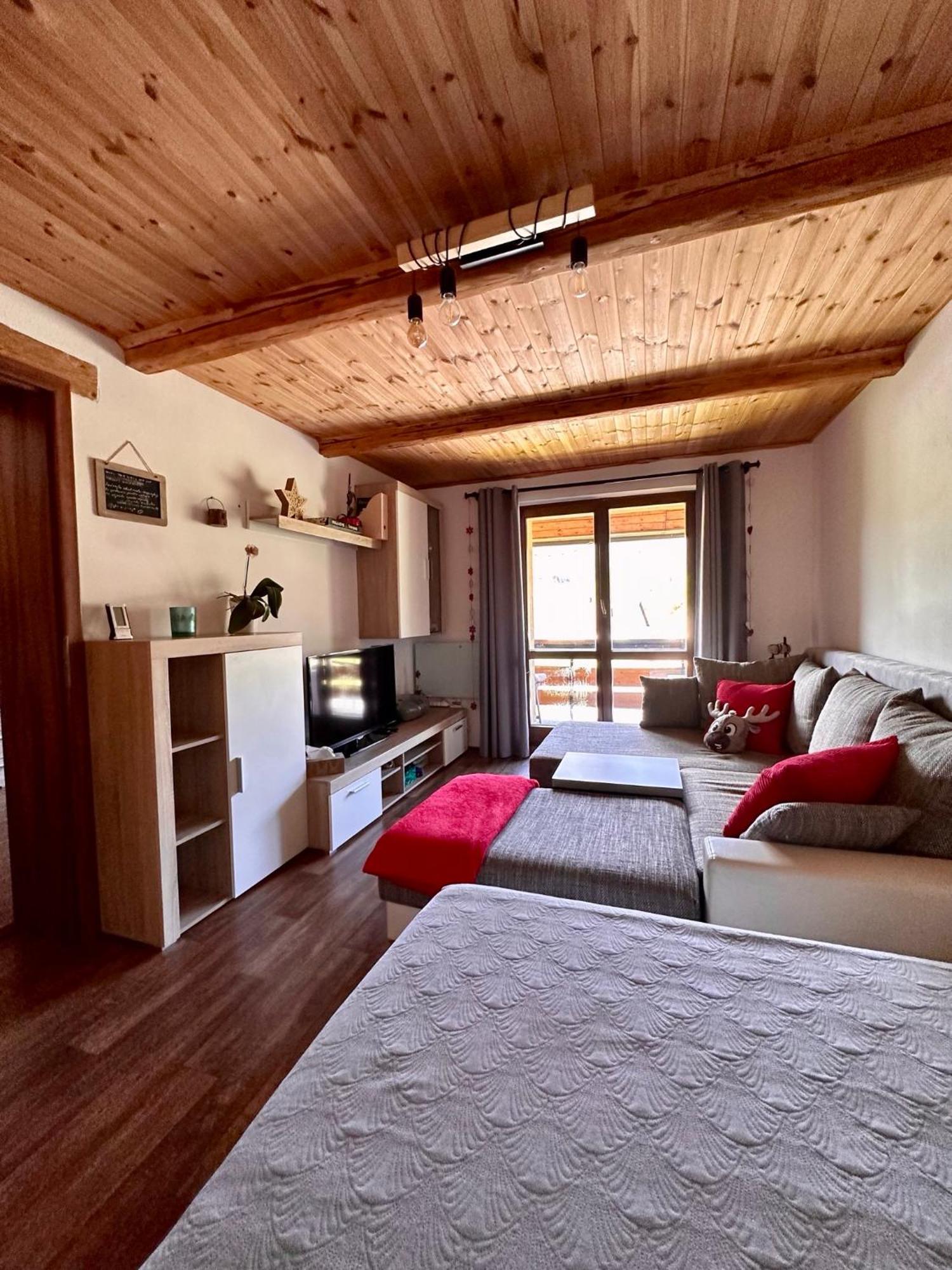 Apartman S Vyhledem Na Jezerni Stenu Železná Ruda Eksteriør bilde
